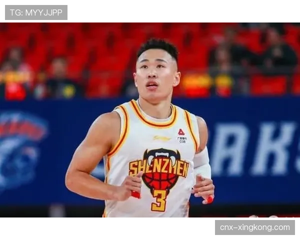 深圳队多点开花战术:贺希宁无球跑动与王浩然空间型四号位作用 深圳队多点开花战术:贺希宁无球跑动与王浩然空间型四号位作用